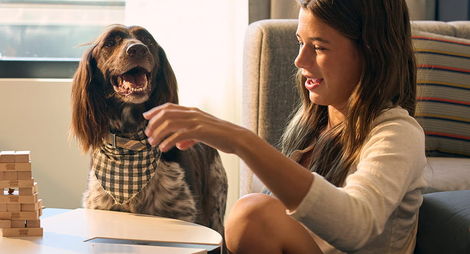 girl with dog in hotel room