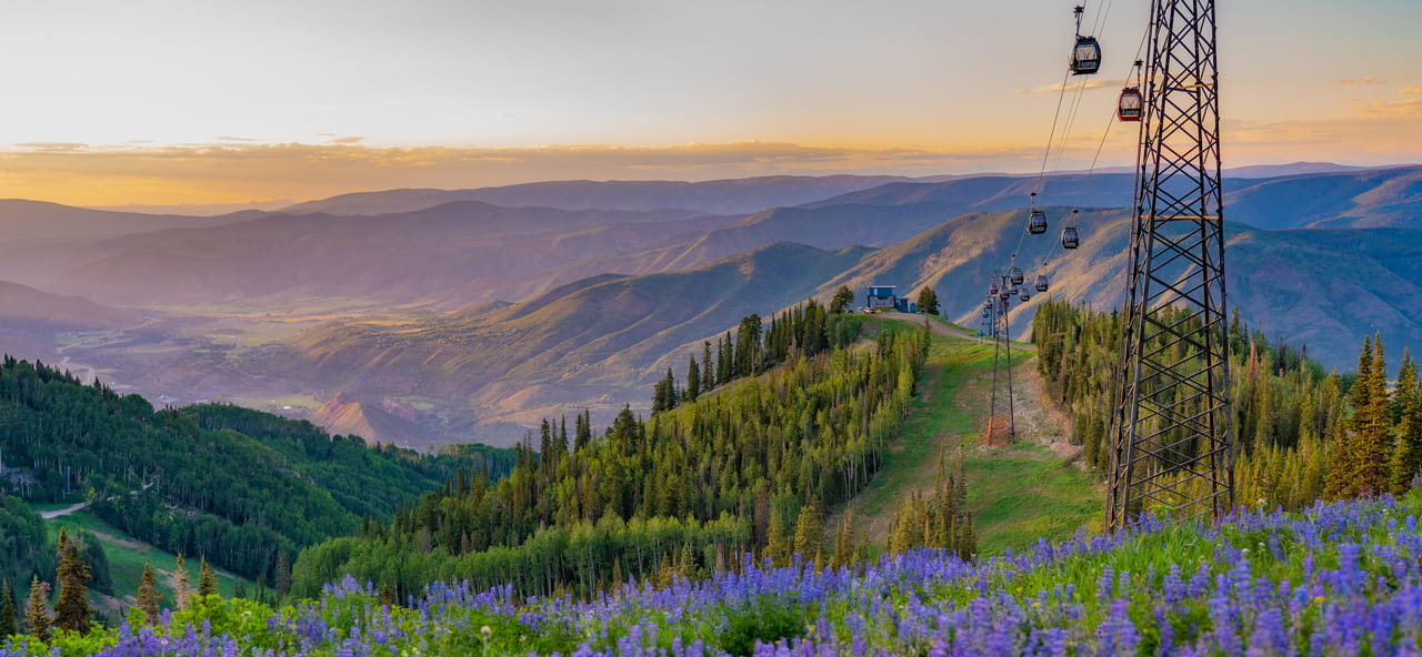 A series of cable cars ascend over a lush green mountain range adorned with blooming purple wildflowers, with a hazy, colorful sunset in the background, at Limelight Hotels.