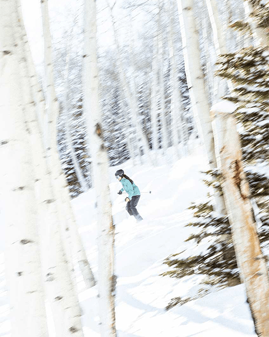 Skier turns through fresh powders through an aspen glade at Aspen