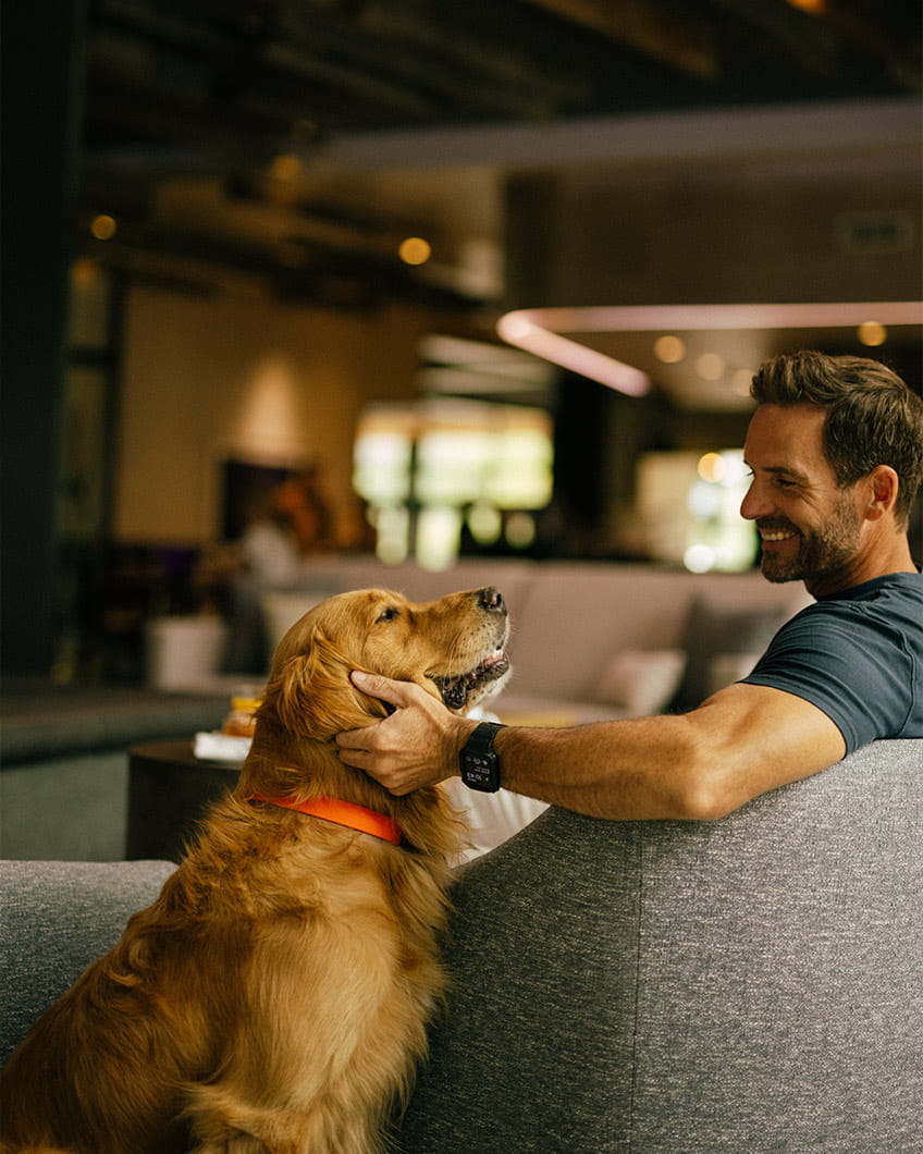 Dog and guest enjoying the Lounge at Limelight Ketchum