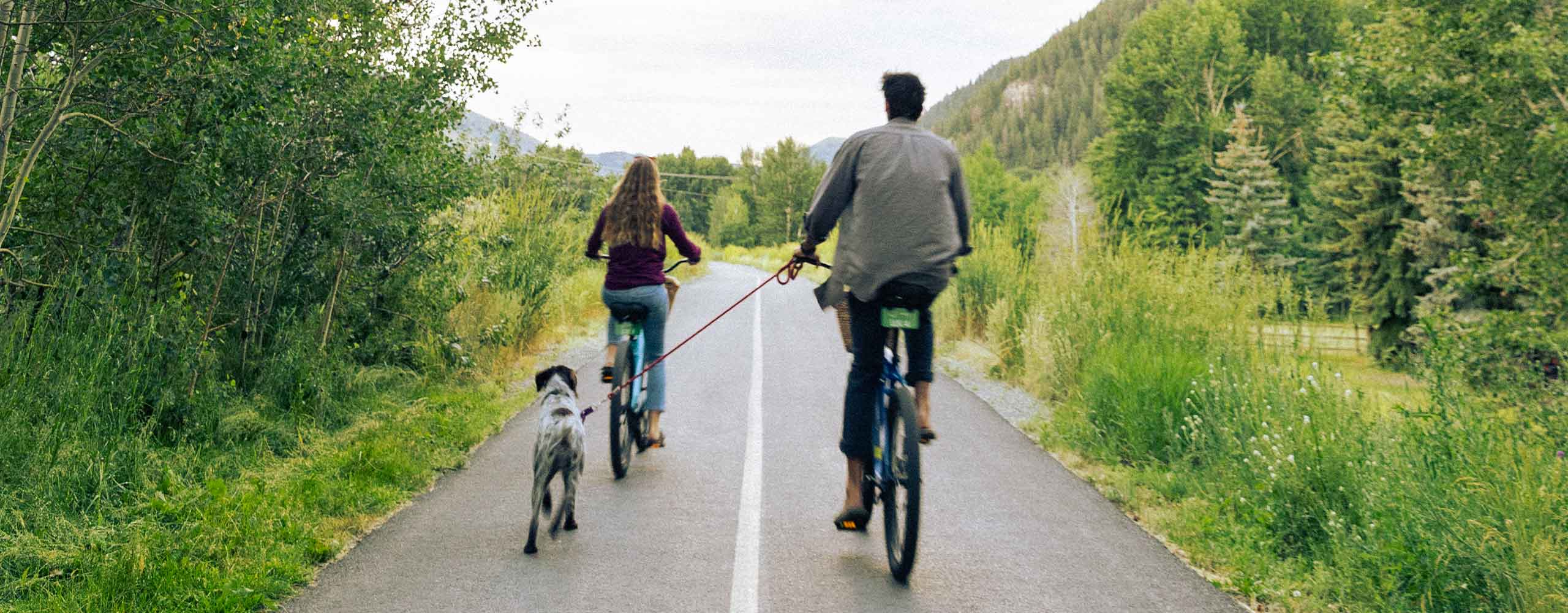 Biking to Sawtooth Botanical Gardens