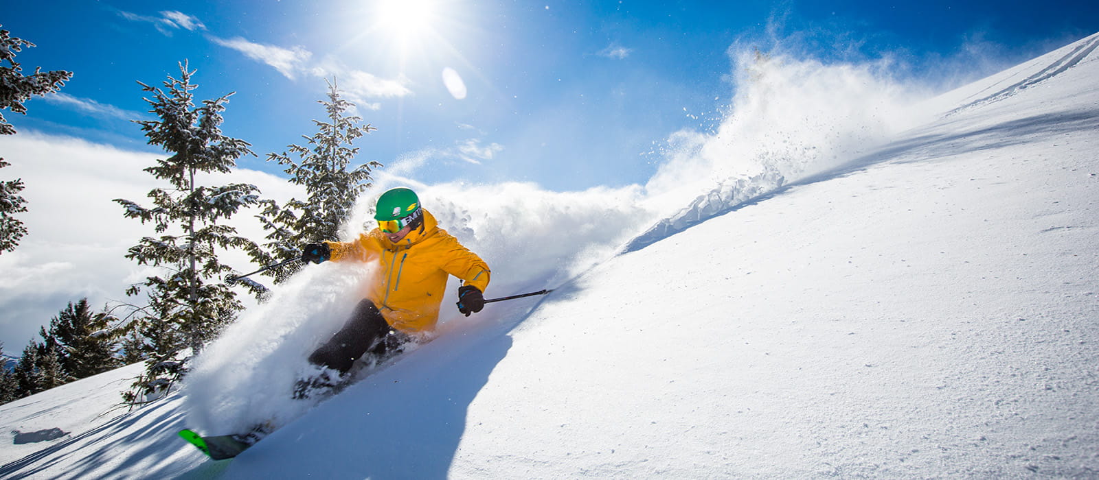 skier skiing powder